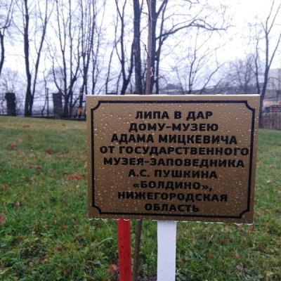 Болдино липа
